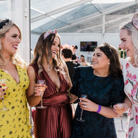 314  MCOLES  MEG0585