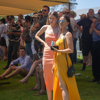 IMG 4088