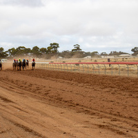 2023 Hawker Cup-125