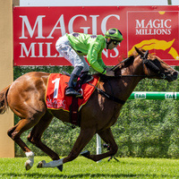 Magic Millions