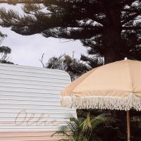 27879188 1993261674329525 5767847977074819072 n