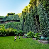 limestone-coast-things-to-do