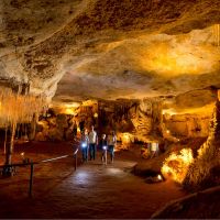 limestone-coast-tours