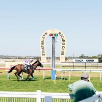 307 strath MCOLES  MKC1436