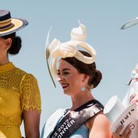 245  MCOLES  MKC9385