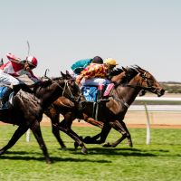 276  MCOLES  MKC9451