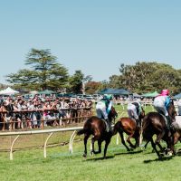 81 oakbank 2018 MCOLES  MKC5510