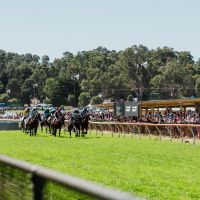 84 oakbank 2018 MCOLES  MKC5523