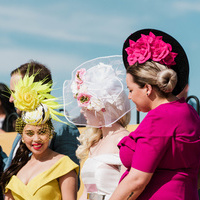 196 roxby downs MCOLES  MEG6160