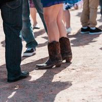 63 roxby downs MCOLES  MEG5927