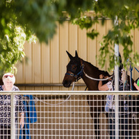 32 gawler cup MEAGHAN COLES 178A2340