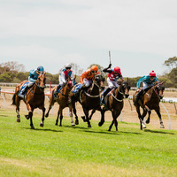 85 kangaroo island feb 2018 MCOLES  DSC8618