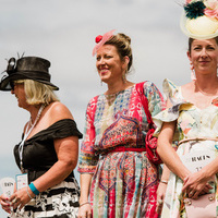 281 kangaroo island feb 2018 MCOLES  DSC9408