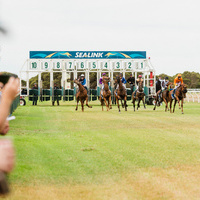 348 kangaroo island feb 2018 MCOLES  DSC9632