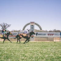 Bordertown Cup LOW RES-13