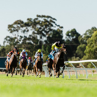 335  MCOLES  DSC2317