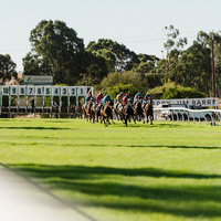 408  MCOLES  DSC2546