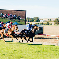 447  MCOLES  DSC8162