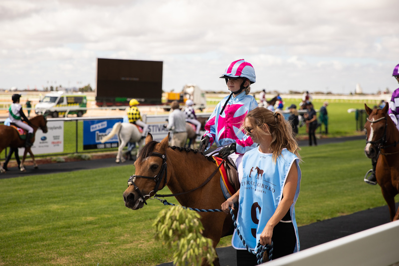 Jump Outs Murray Bridge Racing Club Country Racing SA