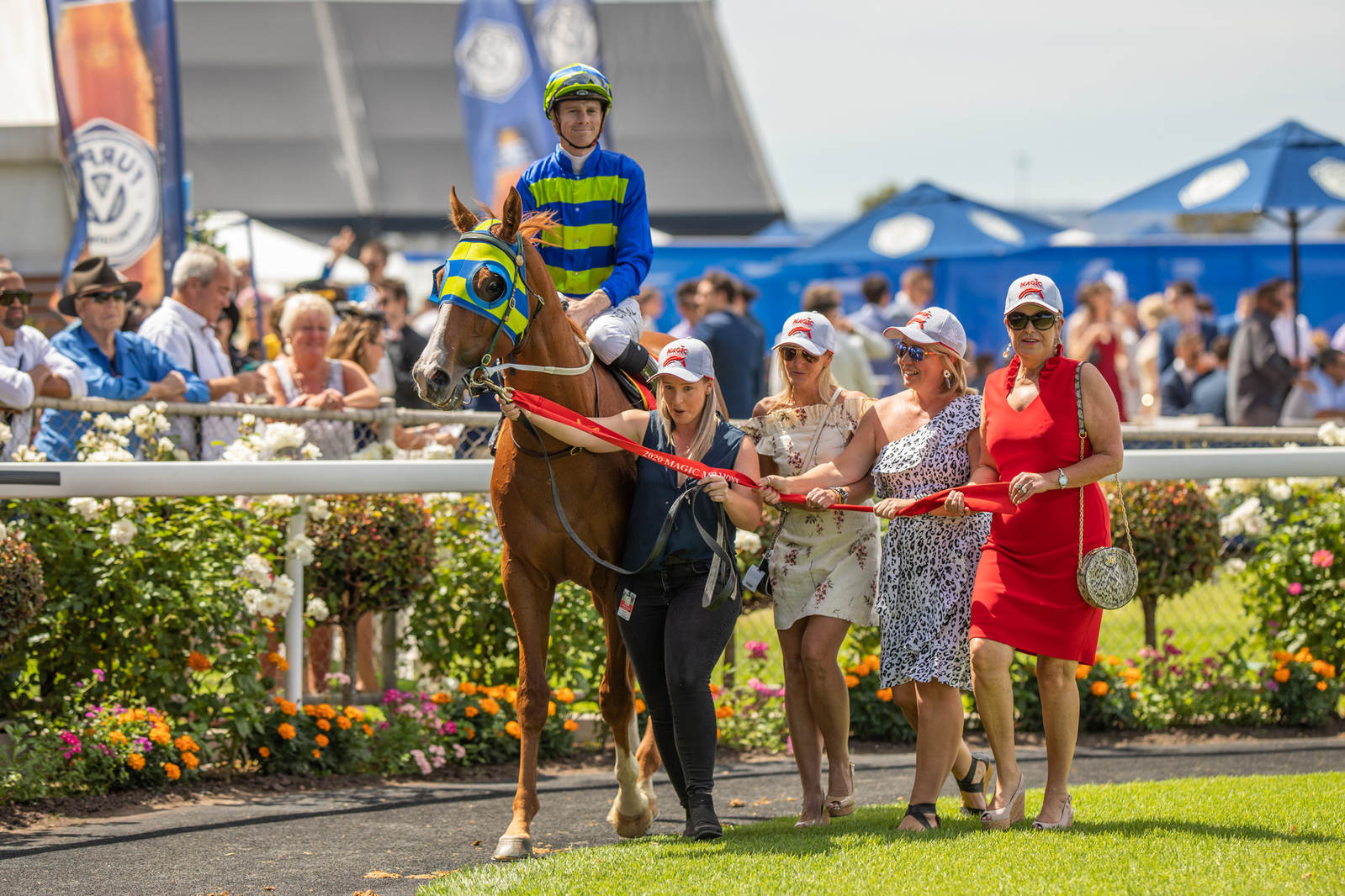 SAROA spruiking joys of the ‘own zone’ | Country Racing SA