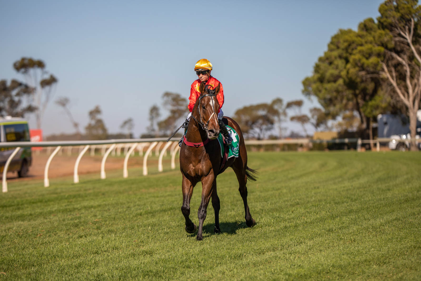 Lincoln Moore's Balaklava Preview | Country Racing SA