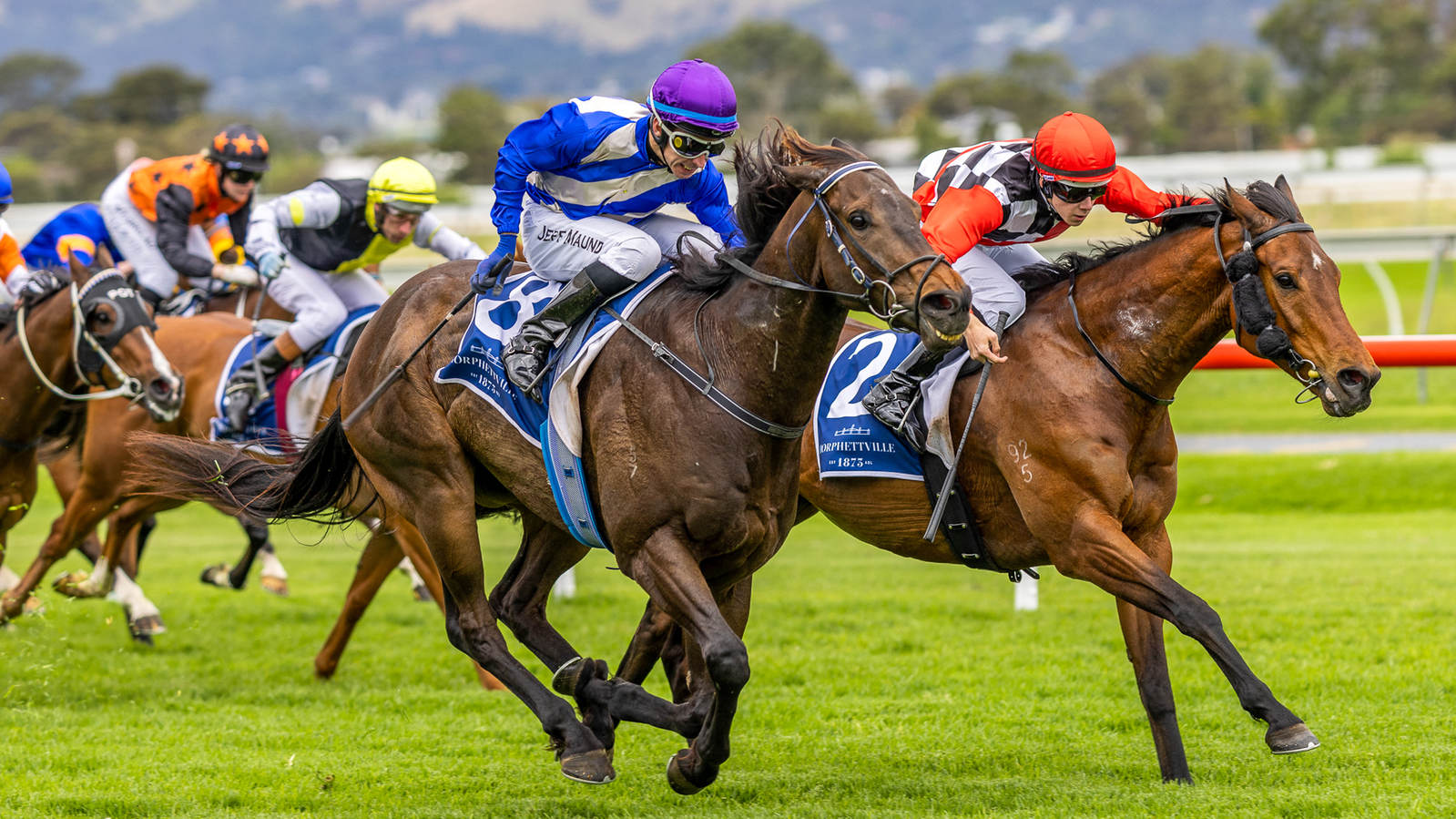 Tab Racing Australia Road to TAB Finals Day goes through Murray Bridge Gold Cup Day ...