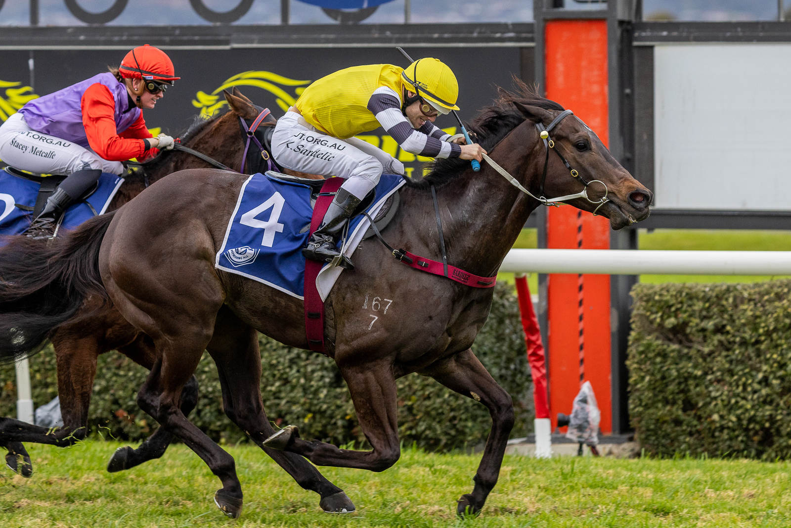 Murray Bridge horseman heads to The Valley | Country Racing SA