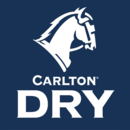 Carlton Dry