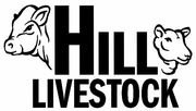 Hill Livestock 