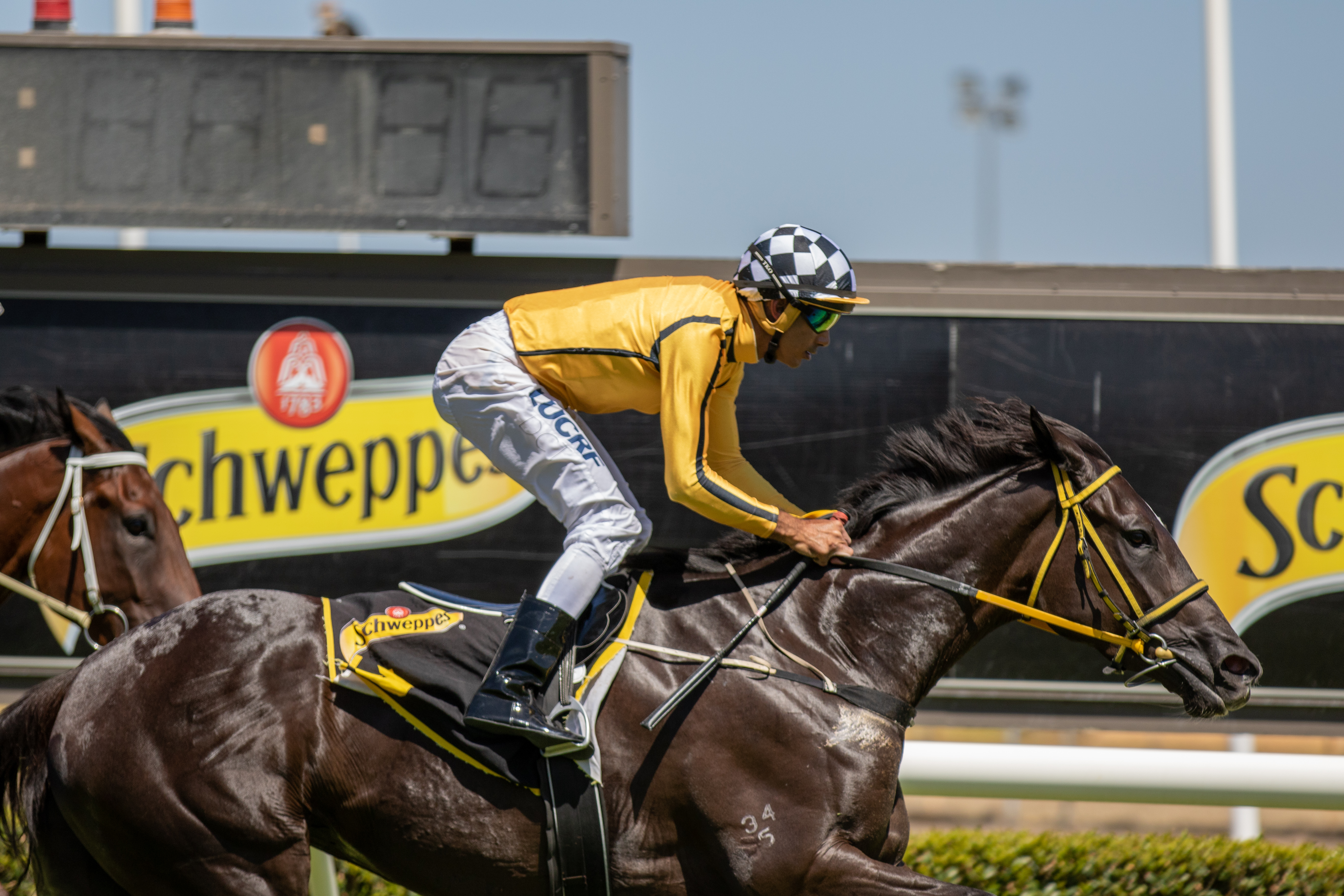 Group One Racing Sa Group 1 Schweppes Oaks preview | Country Racing SA