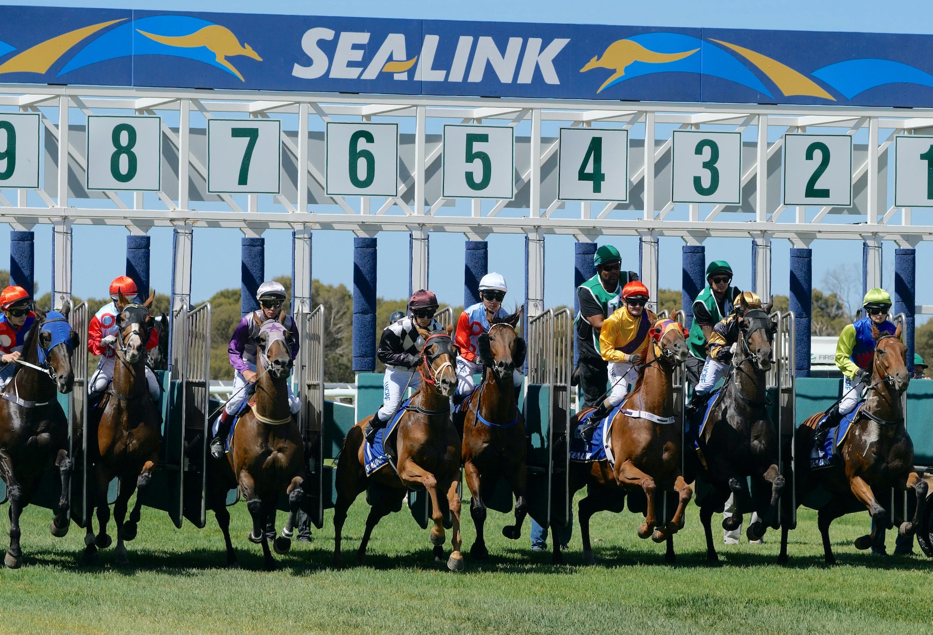 A message from our friends at the Kangaroo Island Racing Club | Country ...