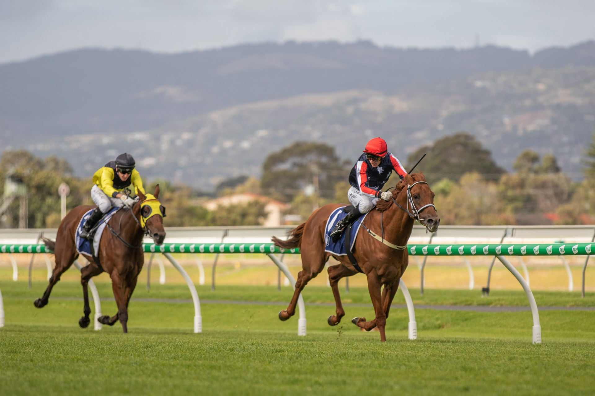 Star attraction plays his part on cracking day of SA racing | Country ...