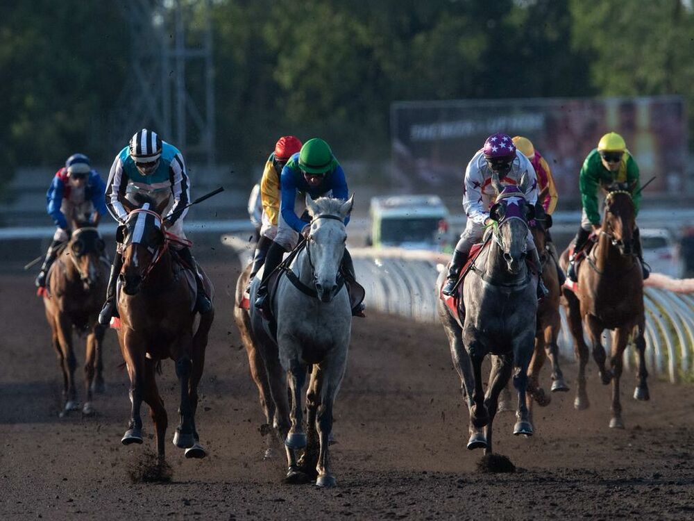 Darwin Cup runner to measure up down south? | Country Racing SA