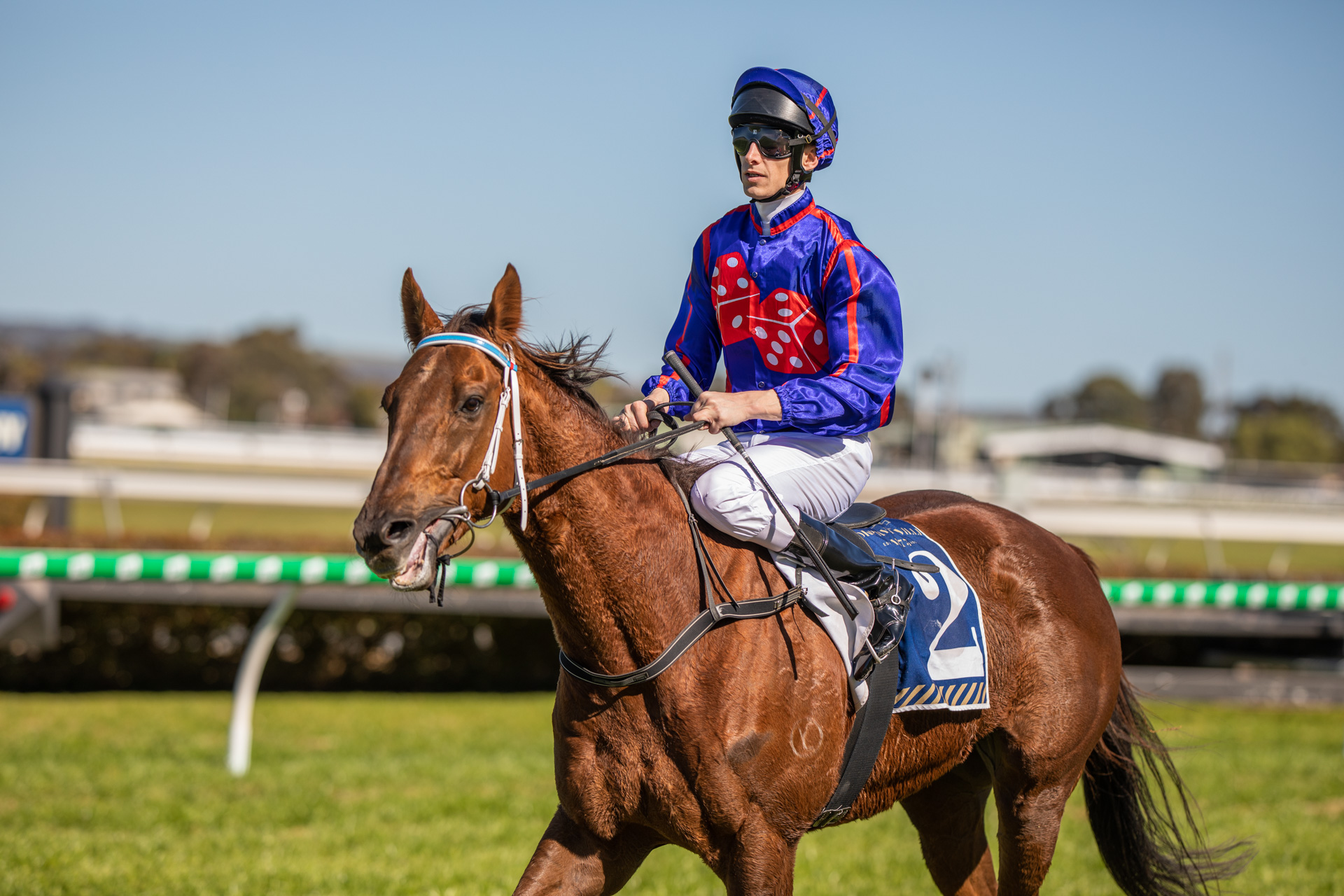 Bob Jolly Racing Jolly's pair aiming for multiple feature wins | Country Racing SA