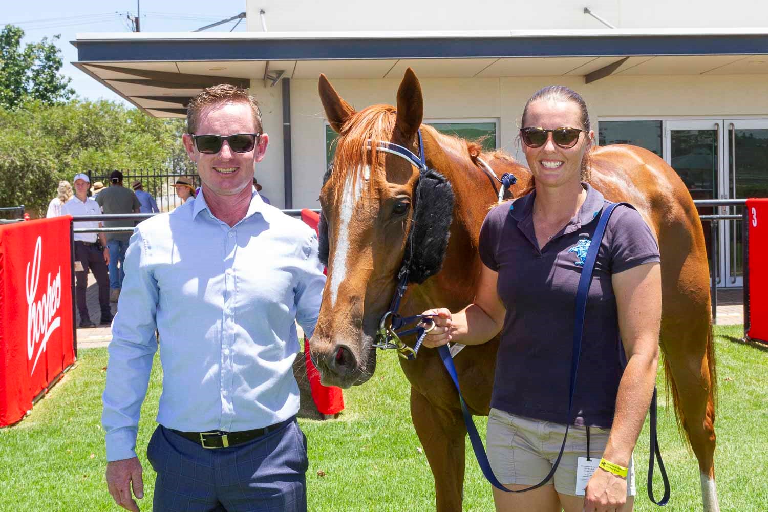 Trainer to raise the bar with Indian Gazelle | Country Racing SA