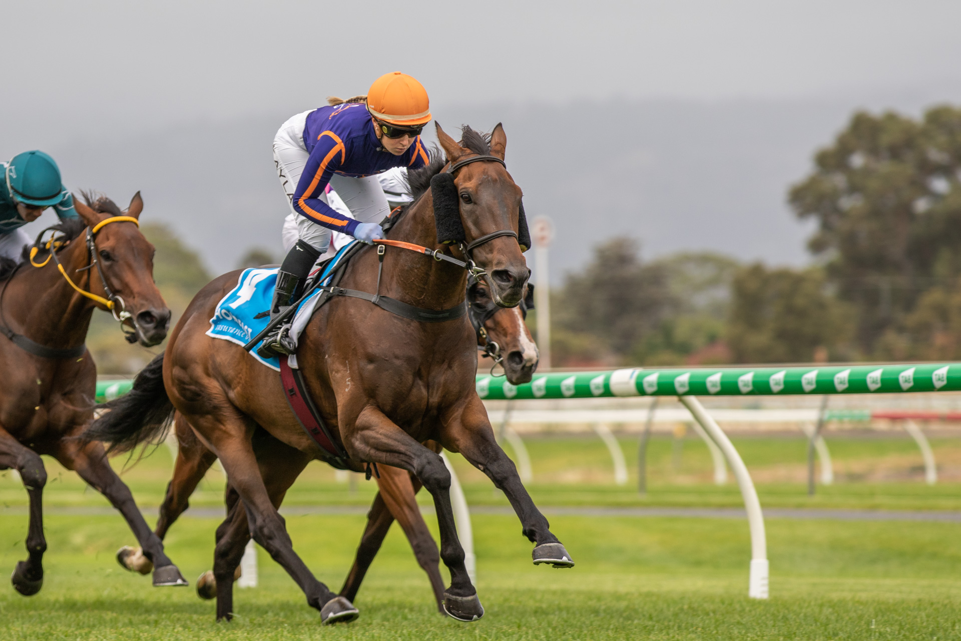 Kayla a big winner – in more ways than one | Country Racing SA