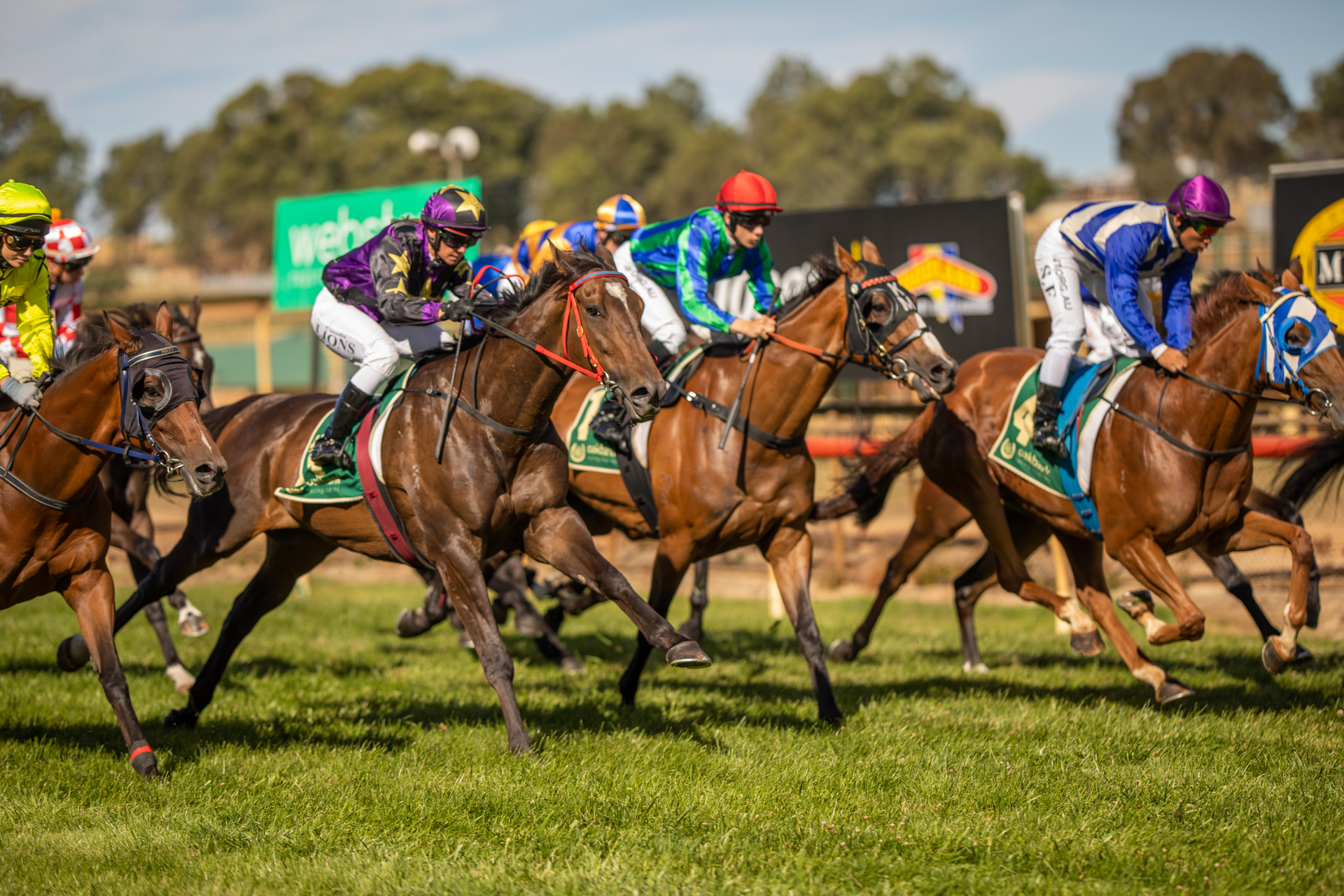 Sarah Kavanagh Racing Jumping returns for first time in over a year | Country Racing SA