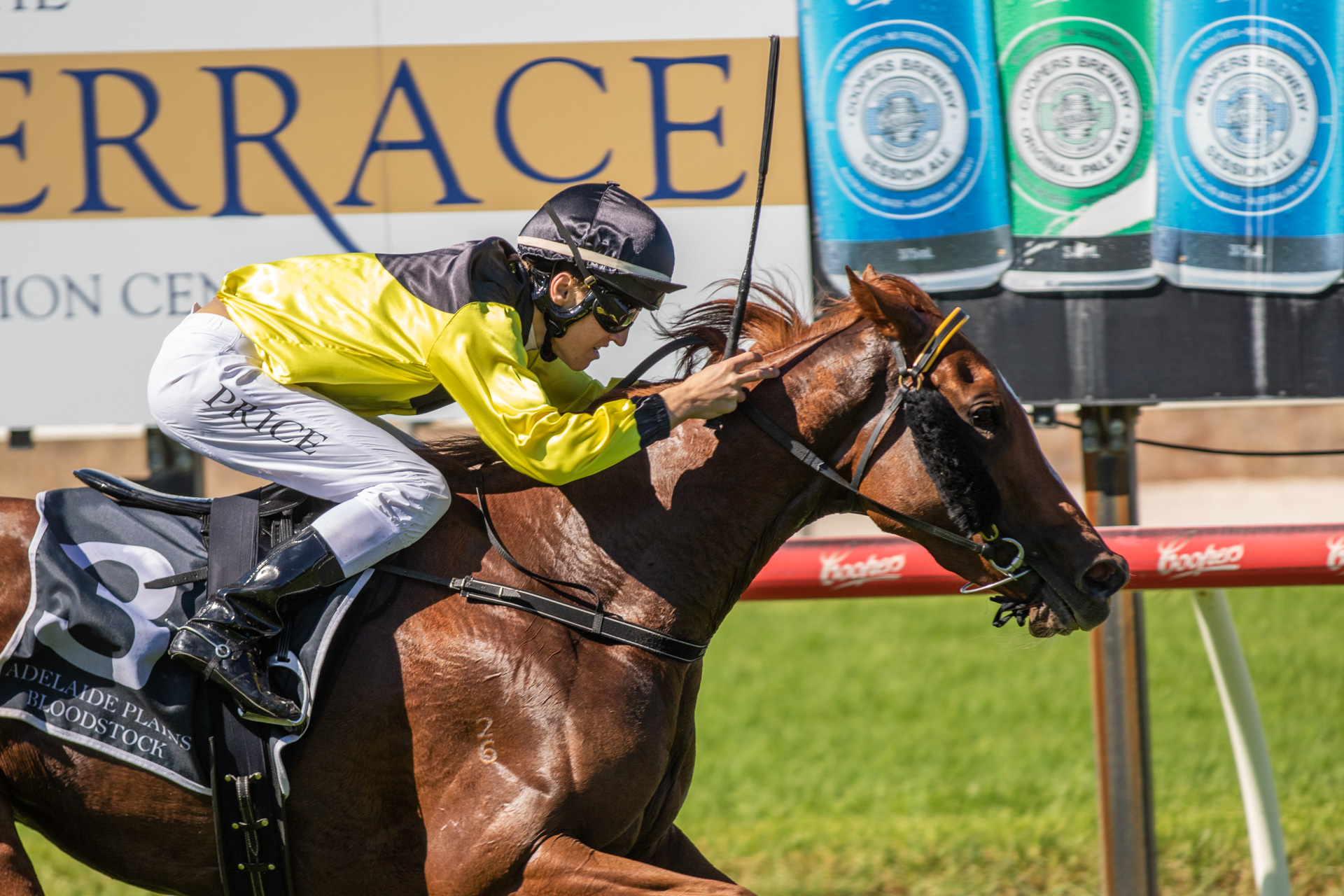Ben’s Victorian visit keeping it in the family | Country Racing SA