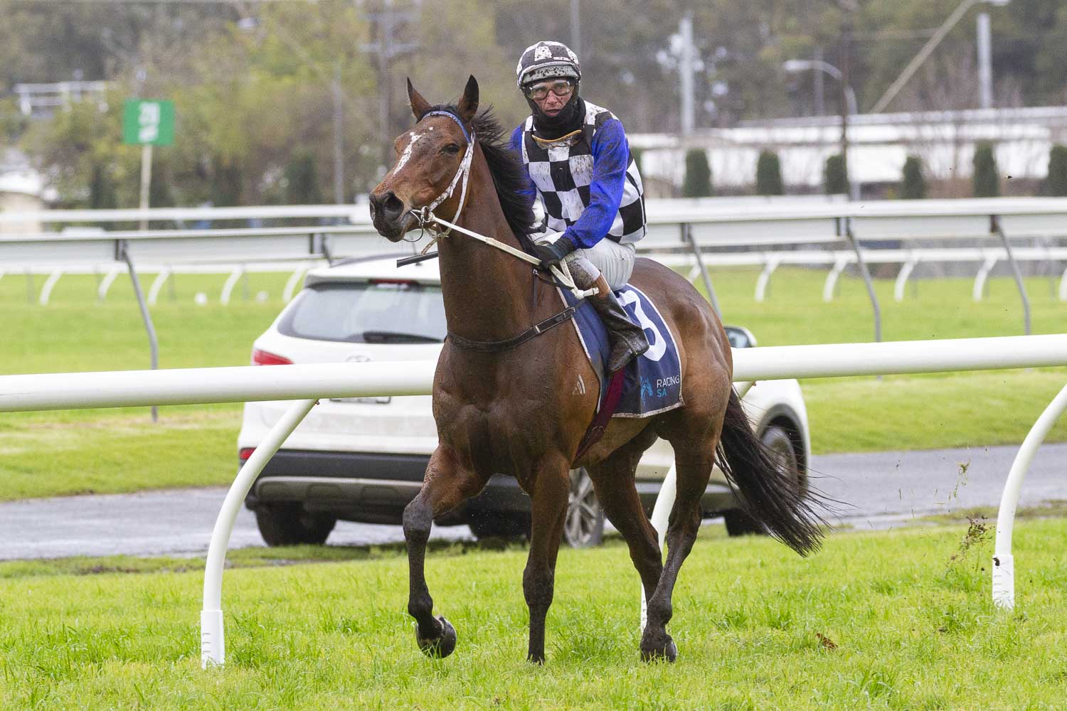 Racing Amendment: Morphettville 24 July 2021 | Country Racing SA