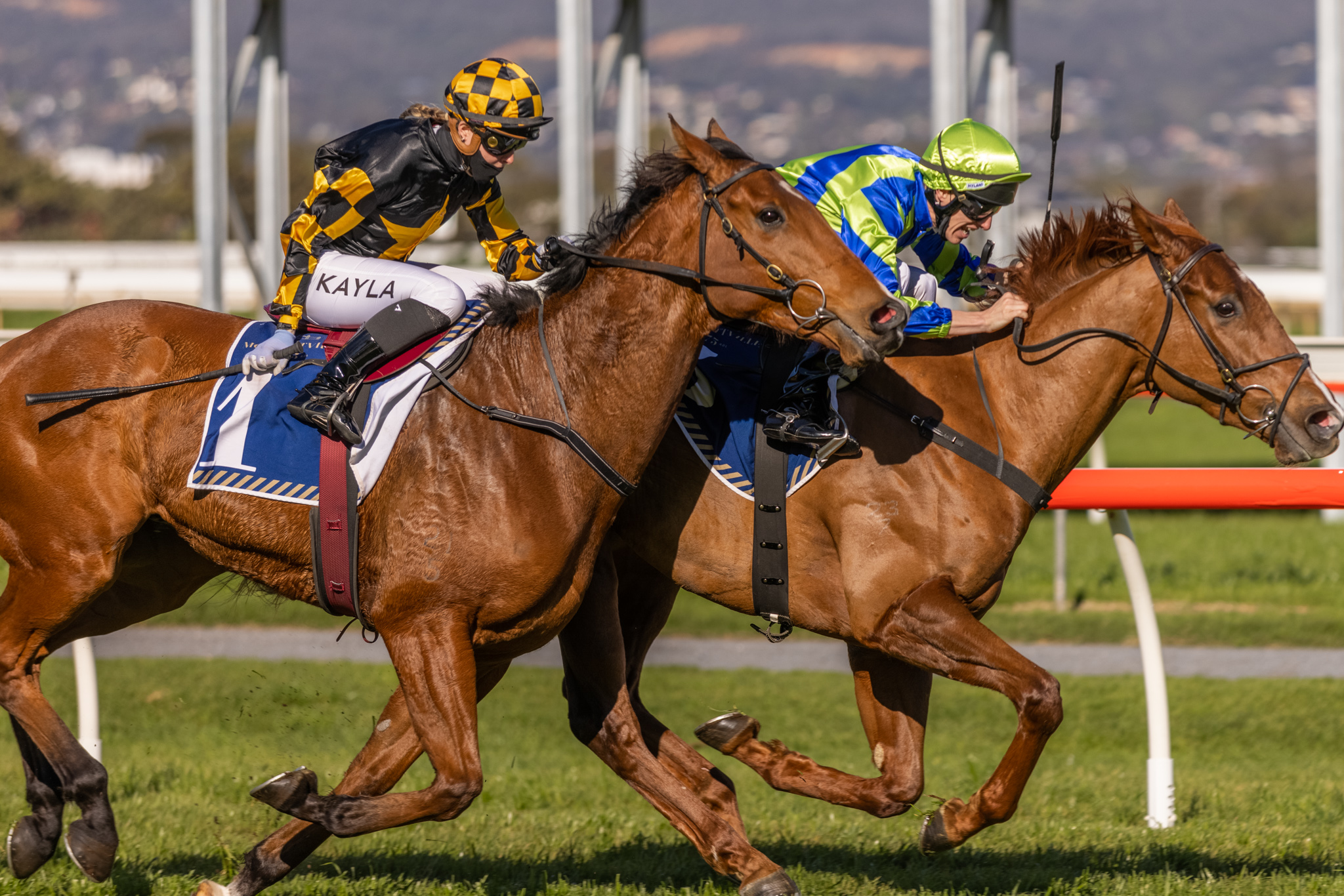 History beckons for veteran Behemoth | Country Racing SA