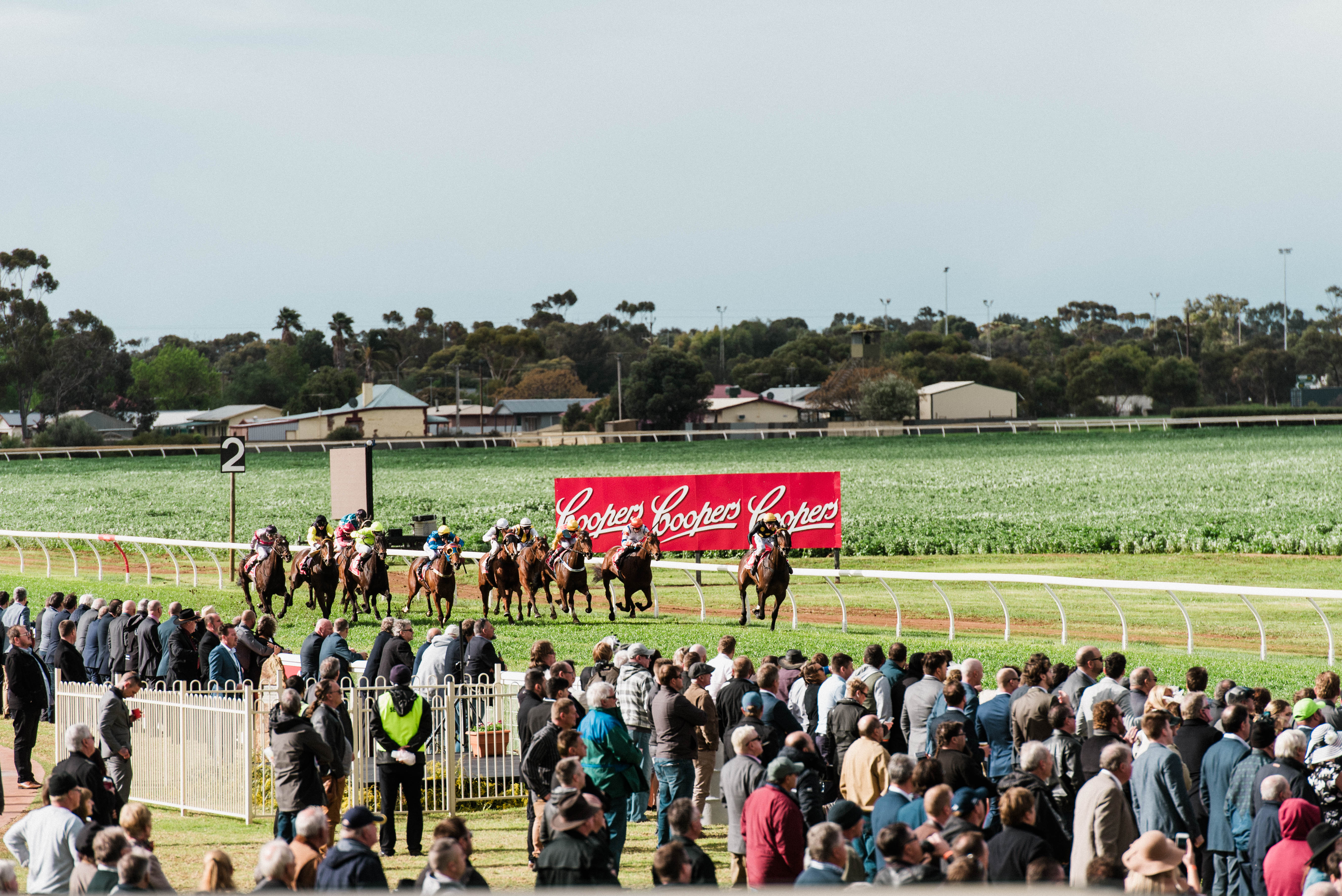 Country Racing SA Board Changes | Country Racing SA