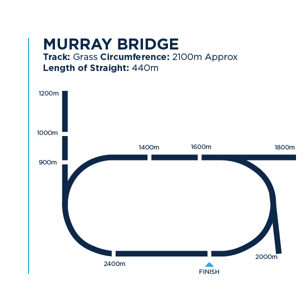 MB track dimensions