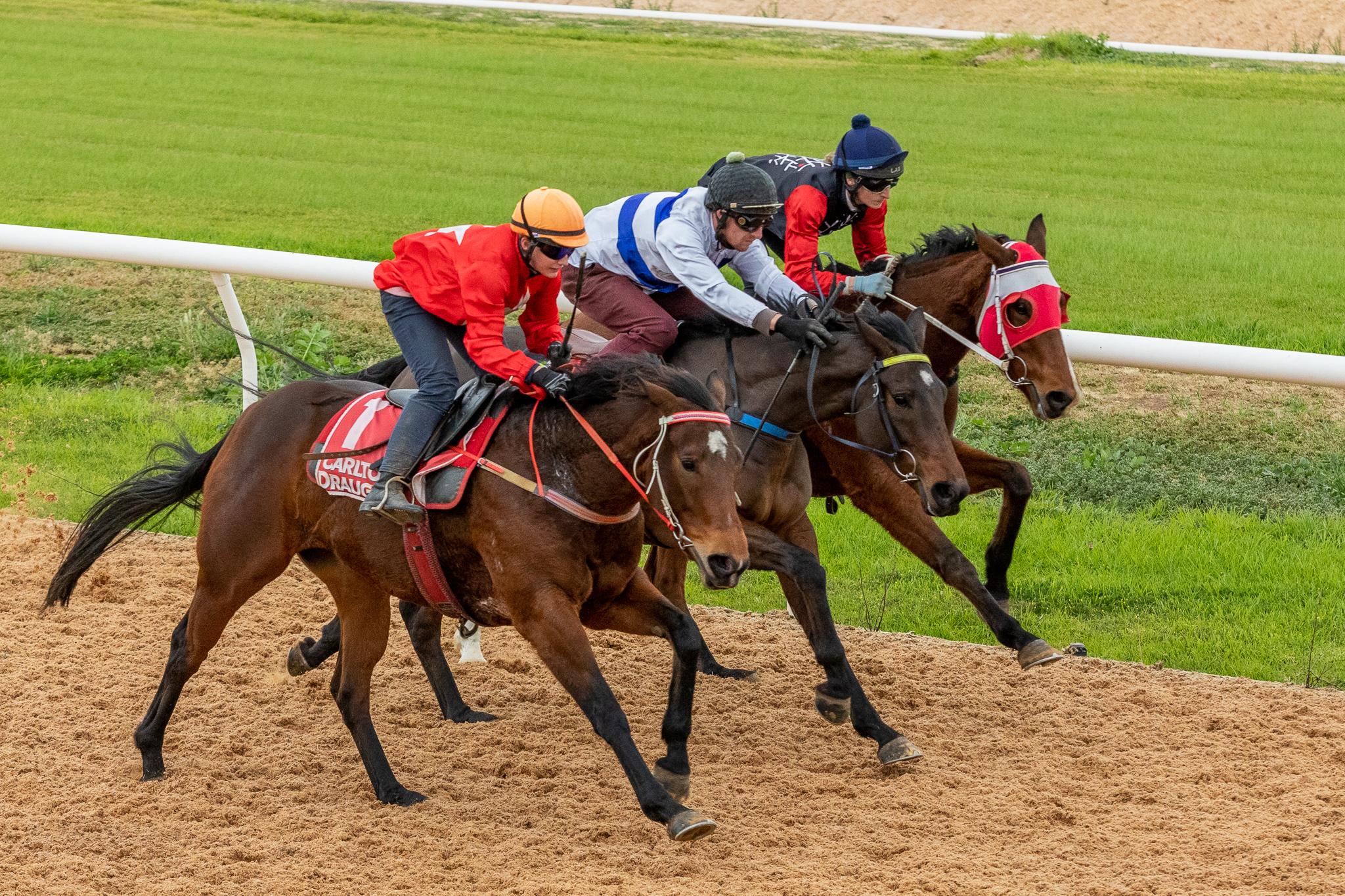 Ones to watch Murray Bridge & Morphettville Country Racing SA