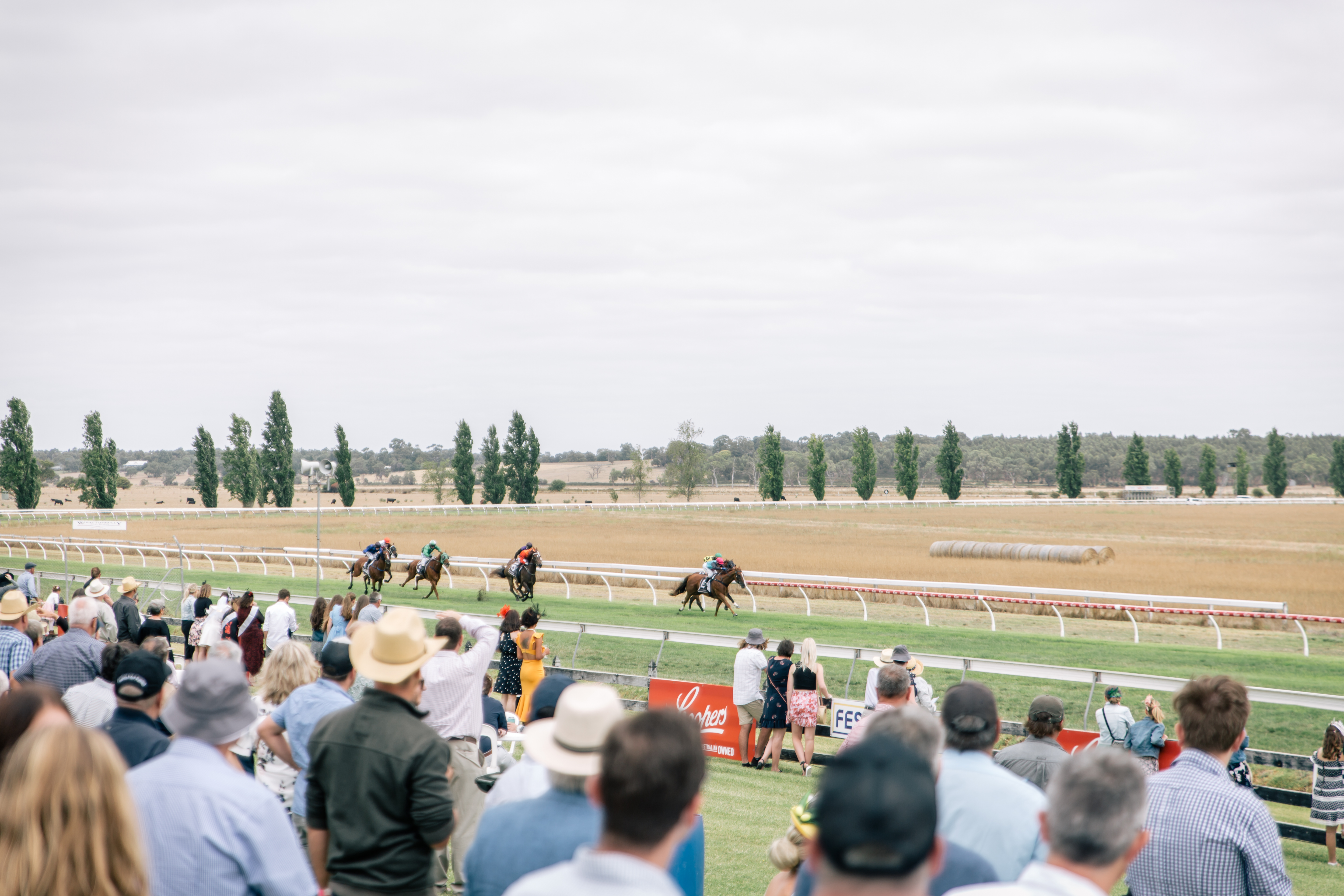 Naracoorte Cup