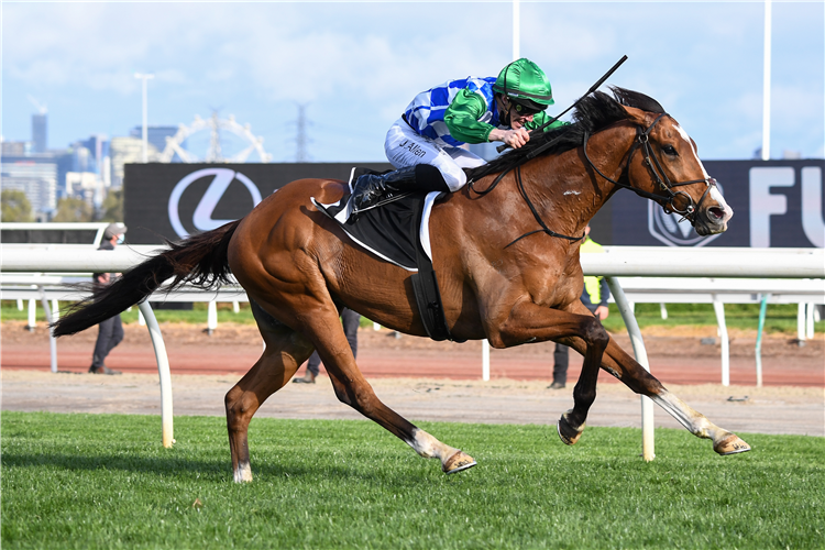 Lord Reims Stakes nominations Country Racing SA