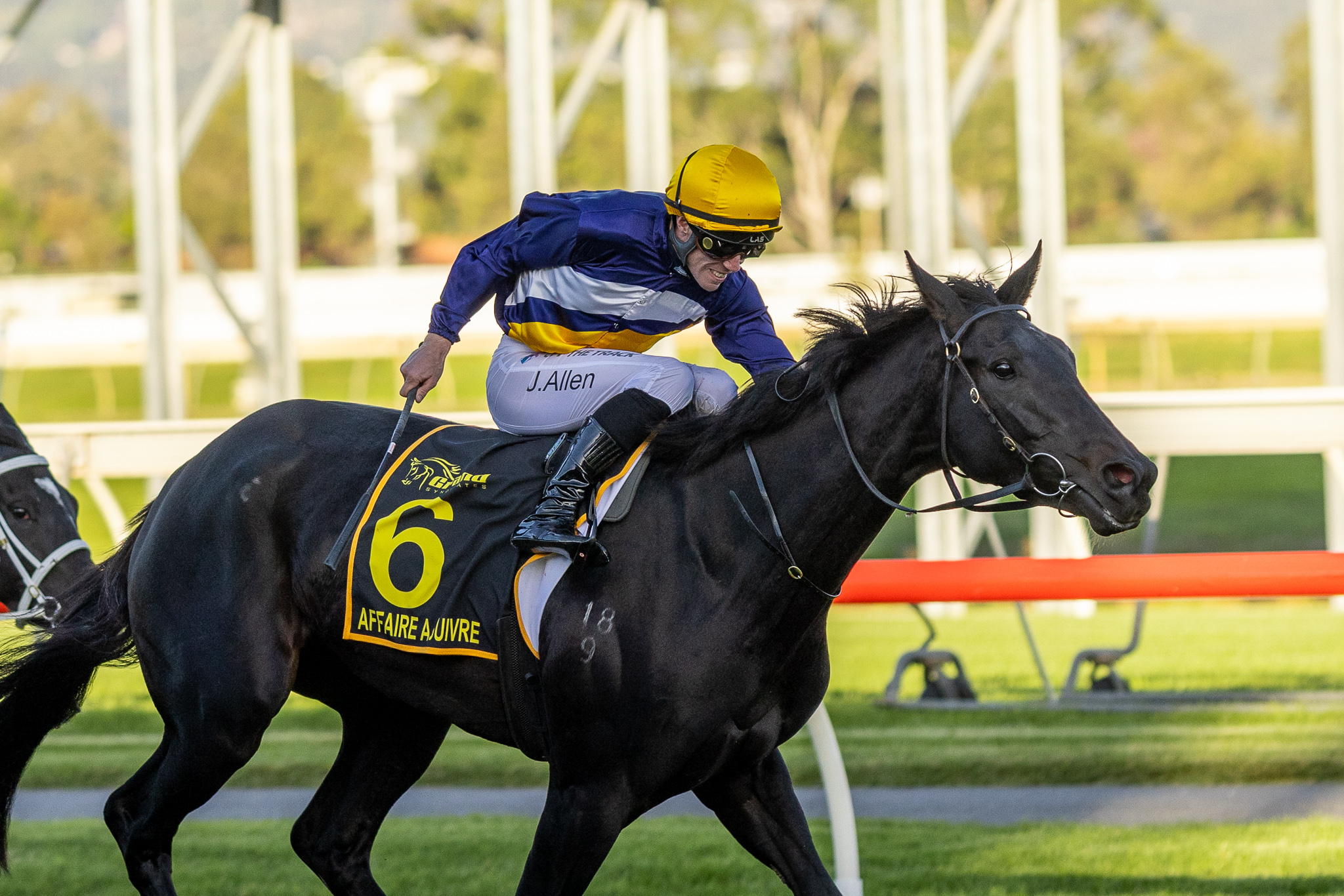 Weekend wrap: Allen wraps up feature, Williams and Voorham star ...