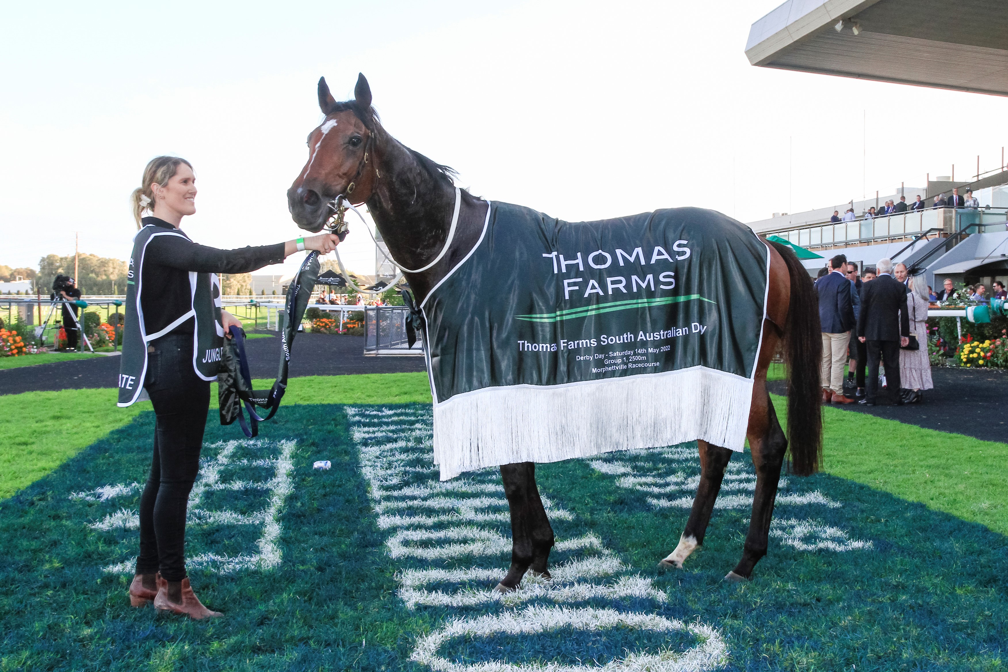 South Australia Derby runner-by-runner preview | Country Racing SA