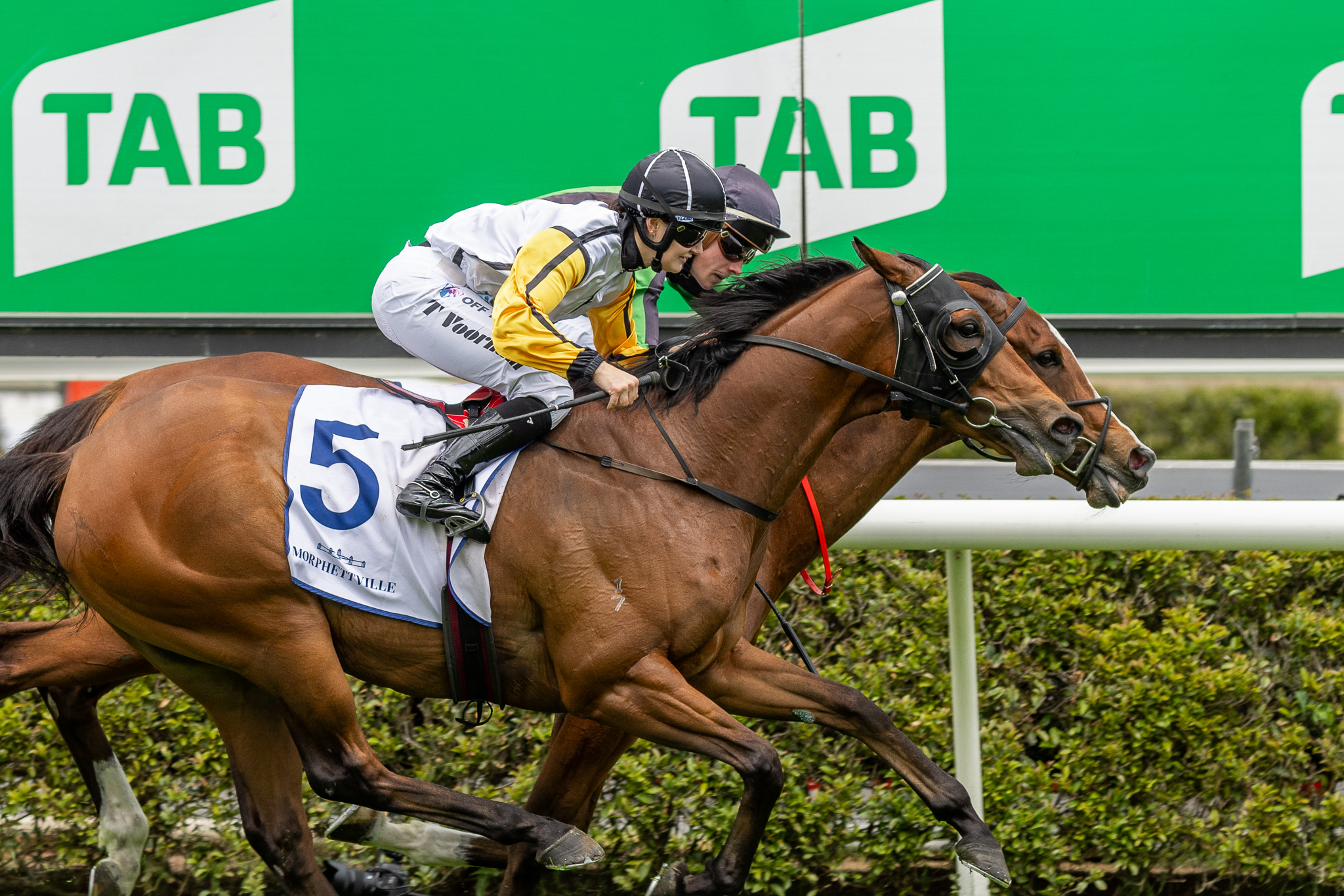 Horse Rsa A big weekend on the East Coast for SA Horses | Country Racing SA