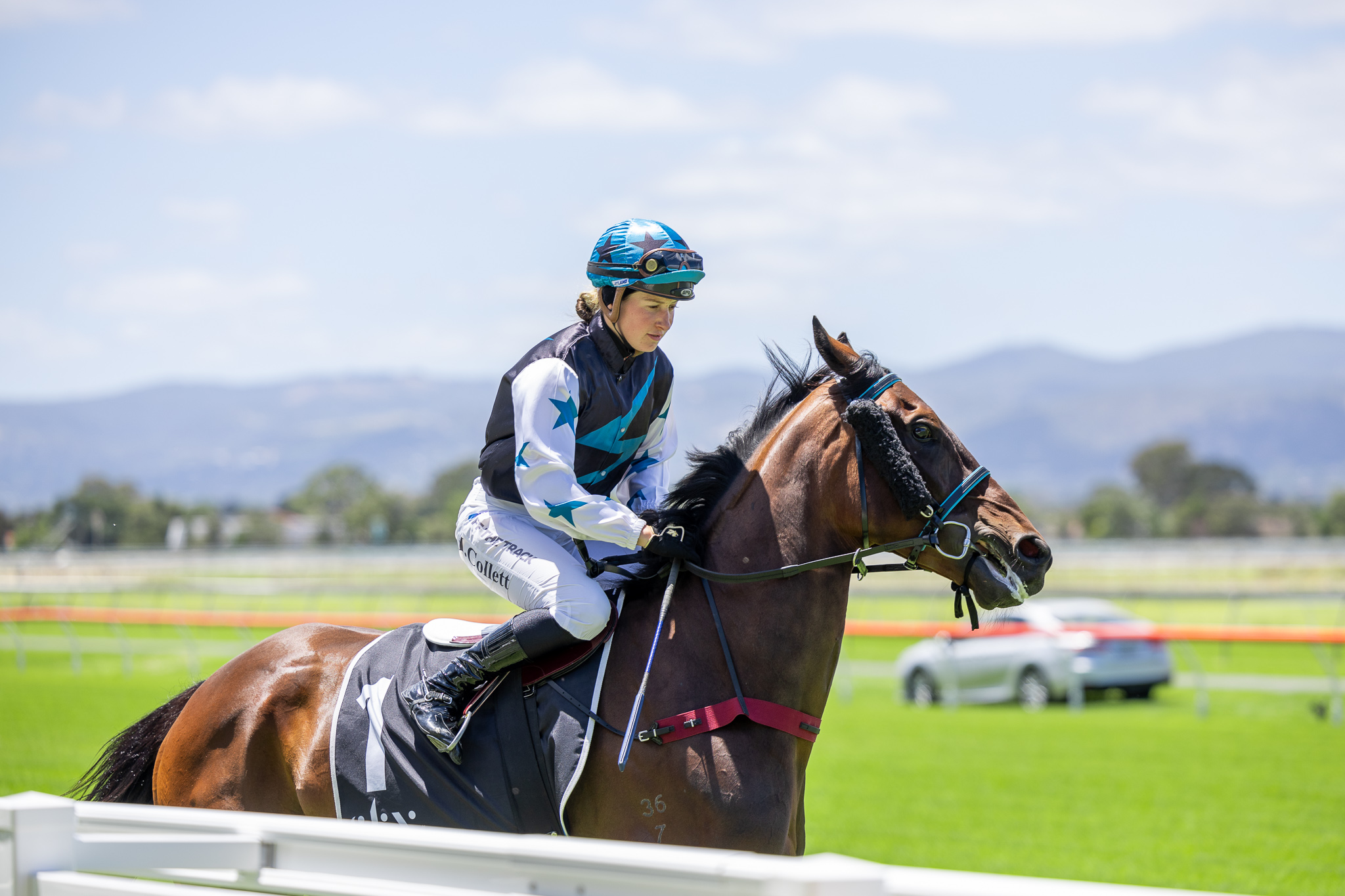 Thrill Kill looking to claim second country cup of 2024 | Country Racing SA