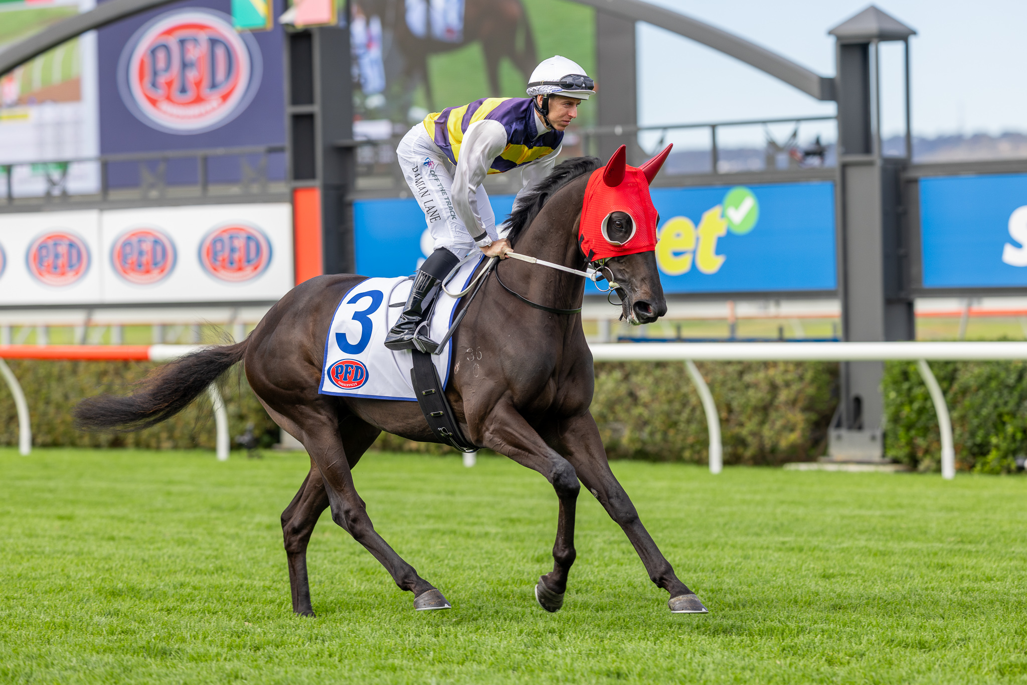 Group One Racing Sa A look at the Group 1 SA Derby barriers | Country Racing SA